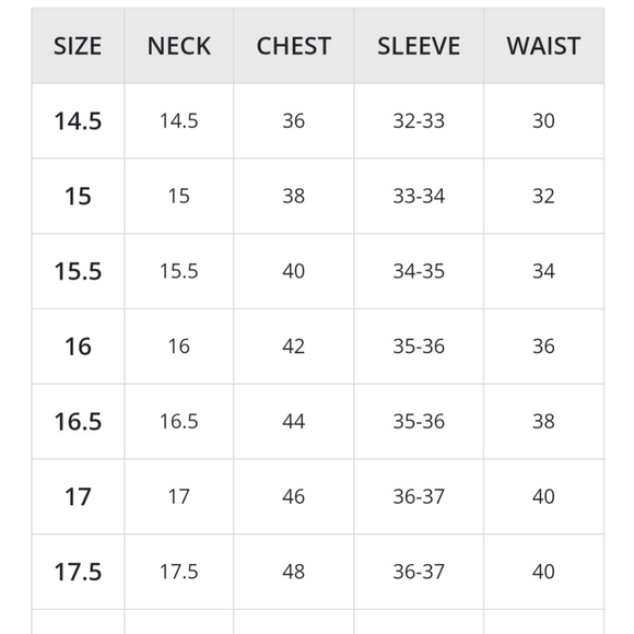 Polo Ralph Lauren Classic Fit Spread Collar Checked Poplin Dress Shirt - Picture 8 of 13